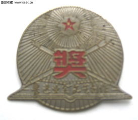 鲁迅业余文艺创作奖章的星火相传